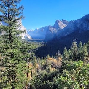 Meet your Posher, Eva